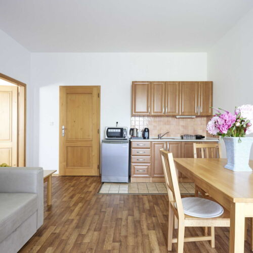 Apartament deluxe cu bucătărie proprie cu 1 camera pentru 3 pers. (se poate solicita pat suplimentar)