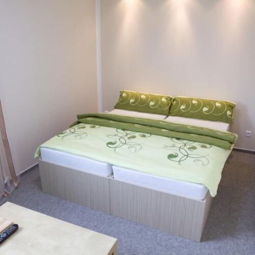 Camera twin cu duș cu chicinetă comună (se poate solicita pat suplimentar)