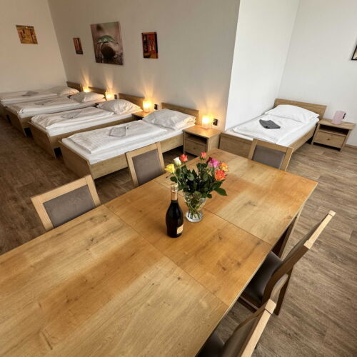 1-Room Apartment for 5 Persons with Shower and Kitchenette