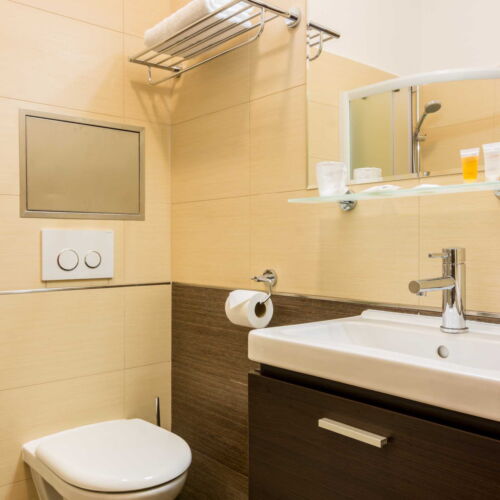 Camera twin cu duș cu aer condiționat