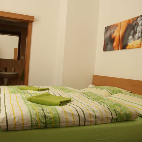 Twin Room with Shower