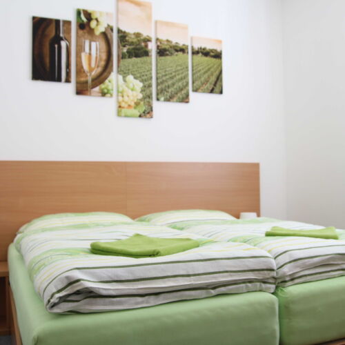 Twin Room with Shower