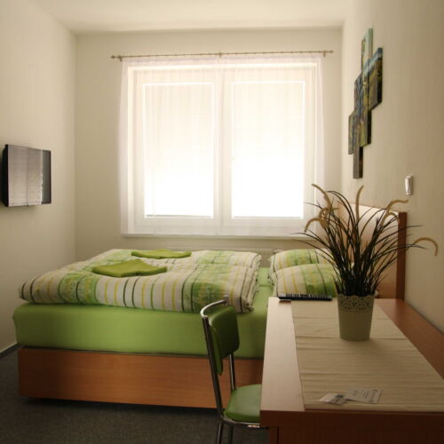 Twin Room with Shower