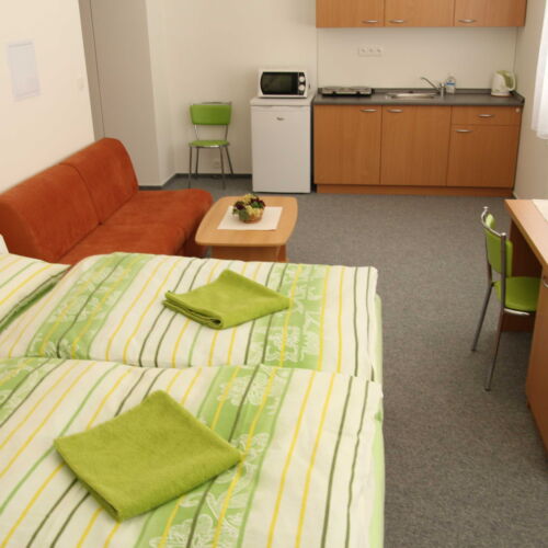 Twin Room with Shower and Kitchenette (extra beds available)