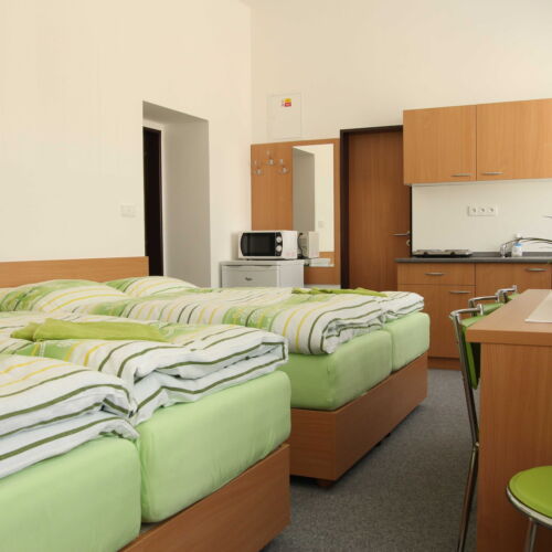 Studio 6 Person Room with Kitchenette