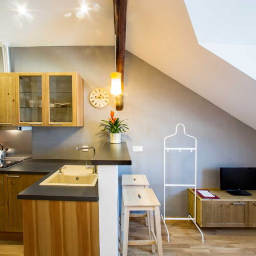 Apartament deluxe studio cu 1 camera pentru 2 pers.