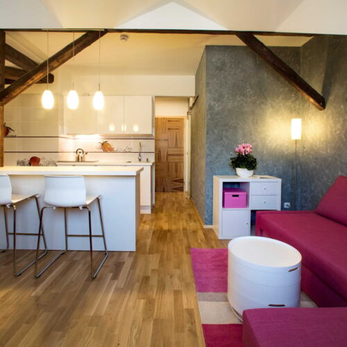 Apartament studio queen cu 2 camere pentru 3 pers.