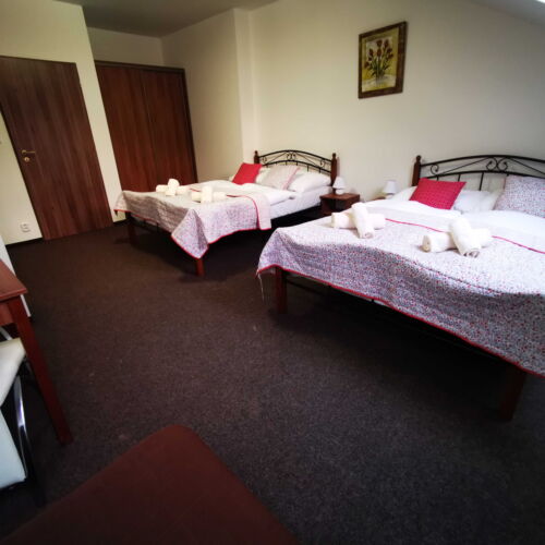 Pokoj se sprchou  pro 2 os. (s možností přistýlky)