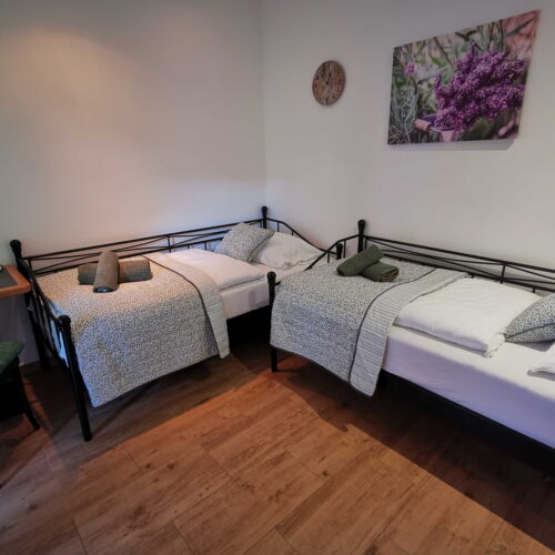 Pokoj se sprchou s klimatizací pro 2 os.