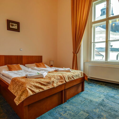 Camera twin cu duș (se poate solicita pat suplimentar)