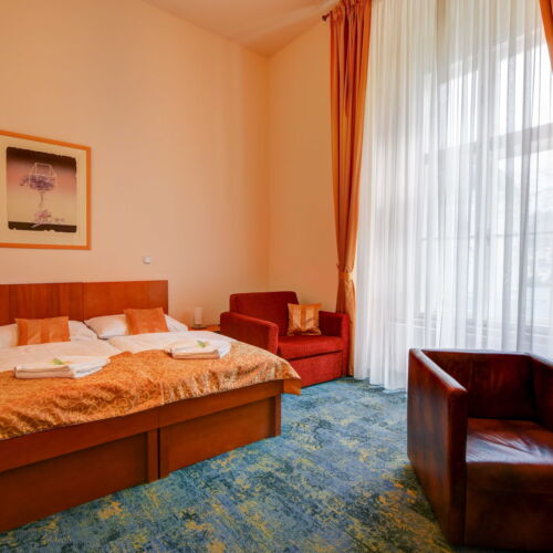 Camera dubla accesibil(ă) persoanelor cu dizabilități cu duș (se poate solicita pat suplimentar)