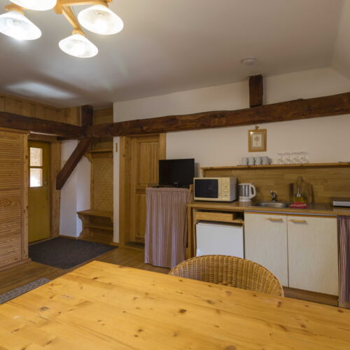 Apartament 4-osobowy z aneksem kuchennym z widokiem na ogród z 1 pomieszczeniem sypialnianym (możliwa dostawka)