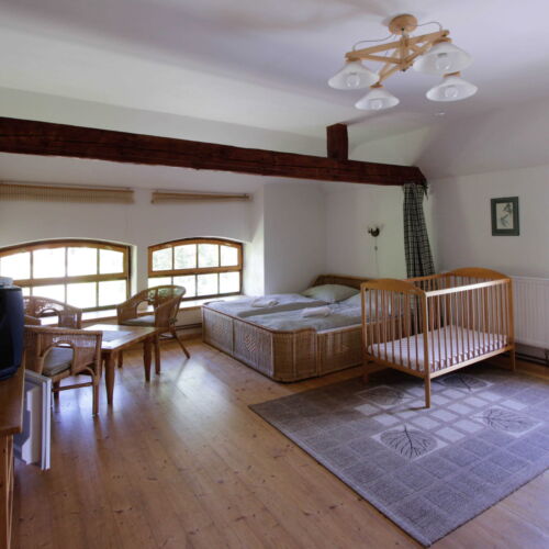 Apartament 3-osobowy z łazienką z widokiem na ogród z 1 pomieszczeniem sypialnianym (możliwa dostawka)