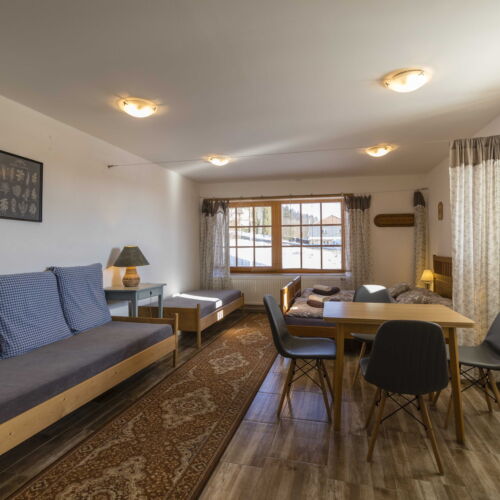 Apartament 4-osobowy z aneksem kuchennym z widokiem na ogród z 1 pomieszczeniem sypialnianym