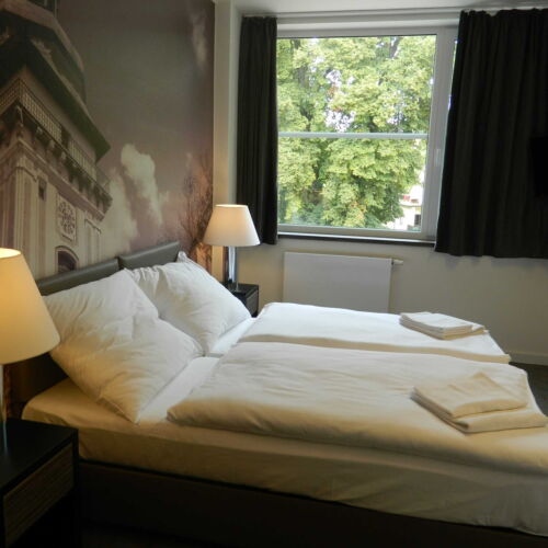 Superior Twin Room (extra bed available)