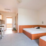 Standard Apartment für 2 Personen mit Dusche (Zusatzbett möglich)