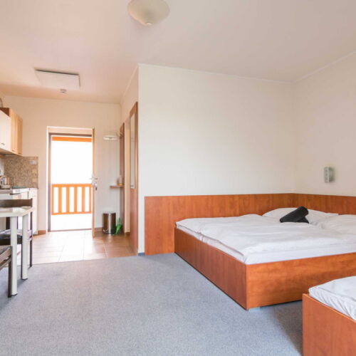 Apartament 2-osobowy Standard z prysznicem (możliwa dostawka)