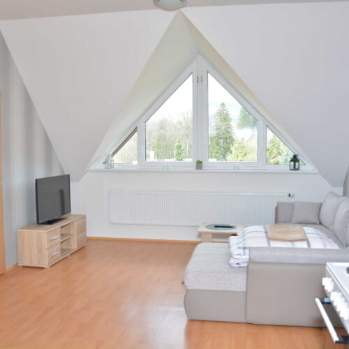 1-Room Apartment for 2 Persons (extra beds available)