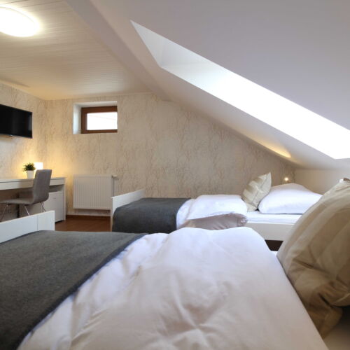 Pokoj se sprchou se společnou kuchyňkou pro 2 os.