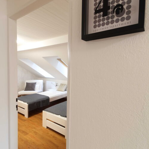 Pokoj se sprchou se společnou kuchyňkou pro 2 os.