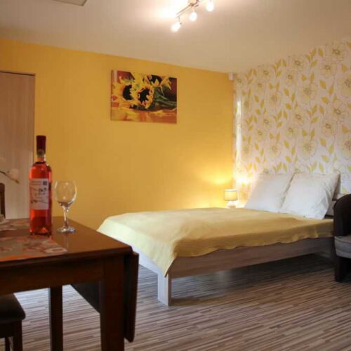 Štúdio Apartmán so sprchou pre 2 os.