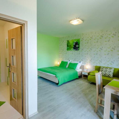 Apartmán so sprchou s vlastnou kuchynkou pre 2 os. (s možnosťou prístelky)