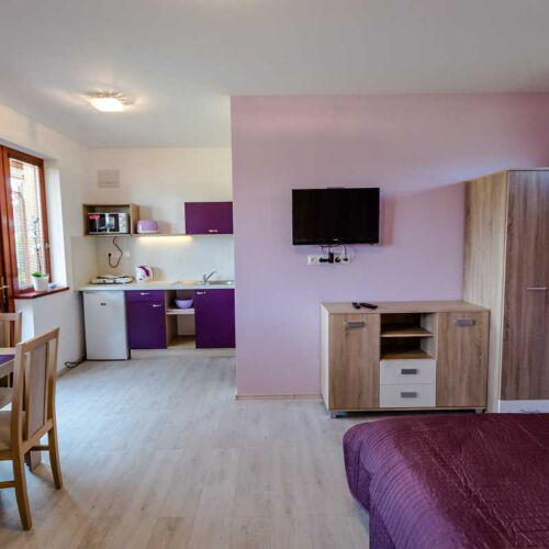 Apartmán so sprchou s vlastnou kuchynkou pre 2 os. (s možnosťou prístelky)