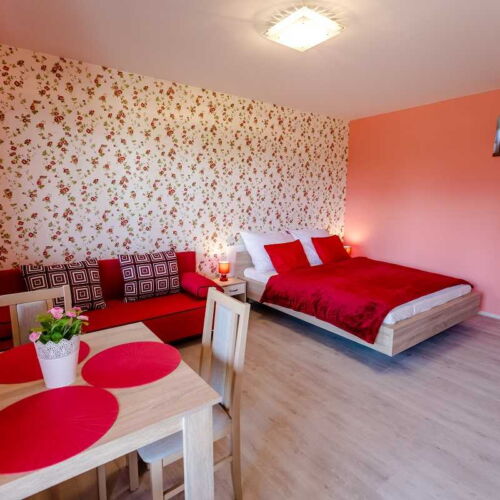 Štúdio Apartmán so sprchou pre 2 os. (s možnosťou prístelky)