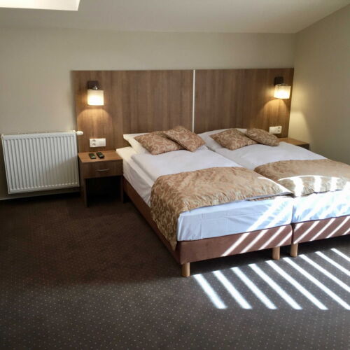 Camera twin standard cu duș