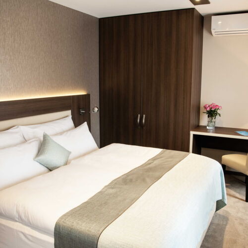 Camera twin cu duș cu aer condiționat (se poate solicita pat suplimentar)