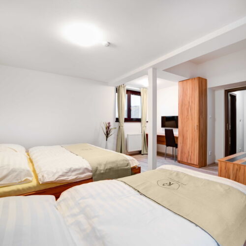 Pokoj se sprchou  pro 3 os. (s možností přistýlky)