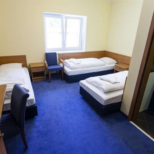 Pokoj se sprchou  pro 3 os.