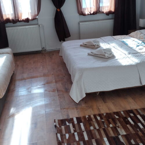 Apartament cu duș cu chicinetă proprie cu 1 camera pentru 3 pers.