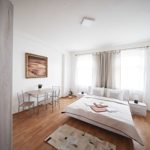 Apartament cu duș cu chicinetă proprie cu 2 camere pentru 4 pers.