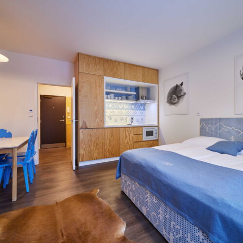 Camera twin studio cu duș (se poate solicita pat suplimentar)