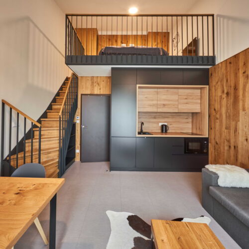 Camera twin studio cu duș (se poate solicita pat suplimentar)