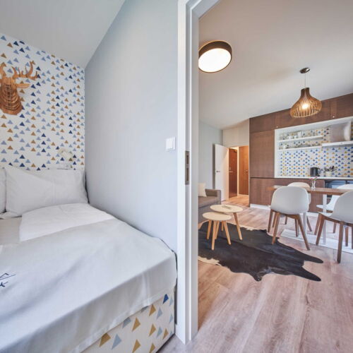 Camera twin standard cu duș (se poate solicita pat suplimentar)