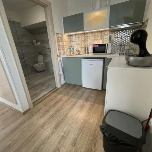 Apartament studio cu duș cu 1 camera pentru 2 pers. (se poate solicita pat suplimentar)