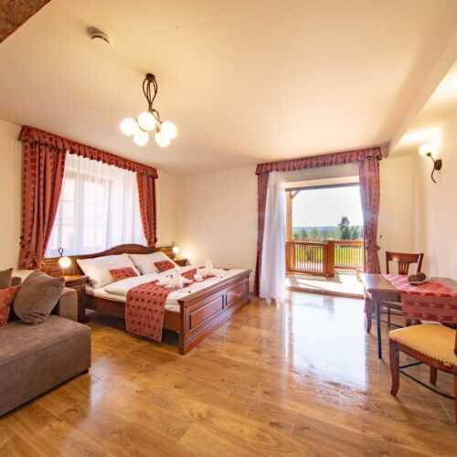 Apartament 2-osobowy z prysznicem z aneksem kuchennym z 1 pomieszczeniem sypialnianym (możliwa dostawka)
