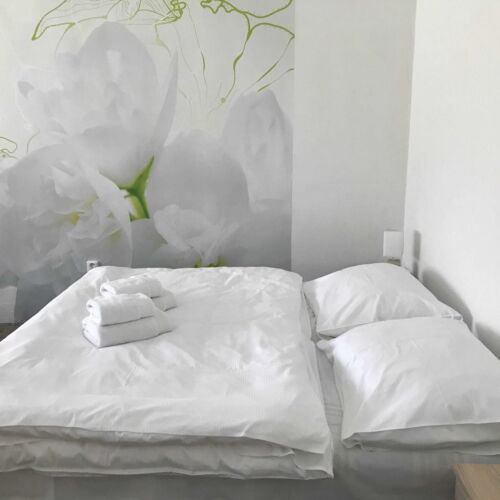 Apartman se sprchou s vlastní kuchyní pro 4 os. s 1 ložnicí