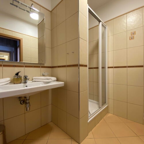 1-Room Air Conditioned Apartment for 2 Persons with Shower (extra beds available)