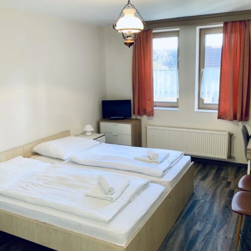 Camera twin standard