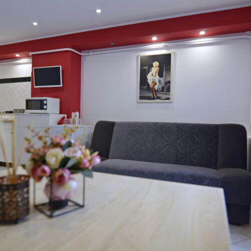 Studio 1-Room Air Conditioned Apartment for 4 Persons