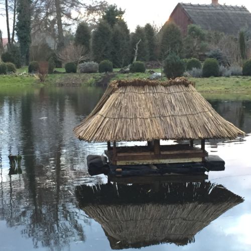 Domek drewniany 6-osobowy parterowy cały dom