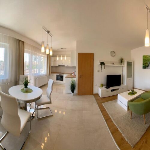 Deluxe Exclusive 1-Room Apartment for 2 Persons