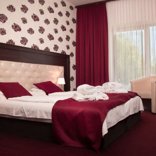 Camera tripla standard cu vedere spre parc