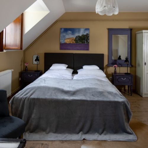 Camera twin la mansarda cu vedere spre gradina