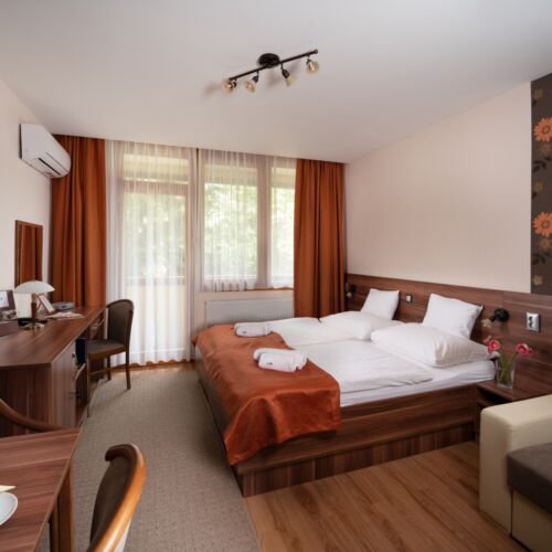 Apartament superior cu aer condiționat cu 1 camera pentru 2 pers. (se poate solicita pat suplimentar)