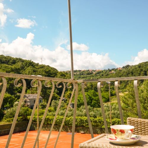 Casa de vacanță cu terasă cu vedere spre pădure pentru 3 pers. (se inchirieaza doar integral)