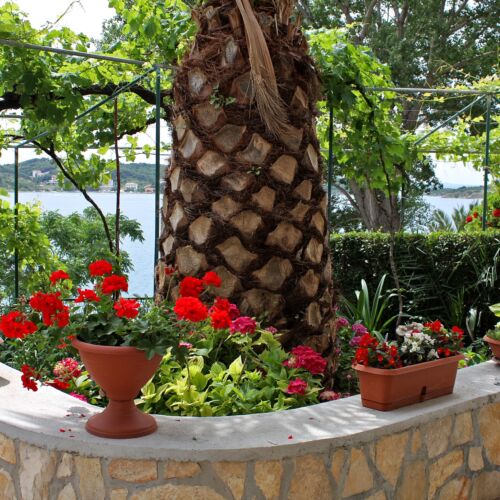 Apartament 2-osobowy z klimatyzacją z tarasem z 1 pomieszczeniem sypialnianym A-2016-g